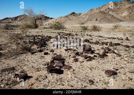 Vieilles boîtes de conserve rouillées dispersées sur le sol au site historique de la mine Tumco, en Californie Banque D'Images