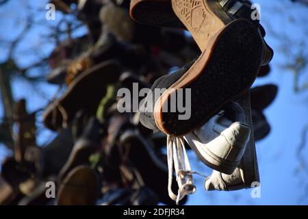 The Shoe Tree of Heaton Park Newcastle Banque D'Images