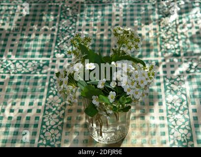 Gros plan petit bouquet de fleurs de Spiraea vanhouttei en verre avec de l'eau sur la table de cuisine couverte de carreaux ornementant nappe. Banque D'Images