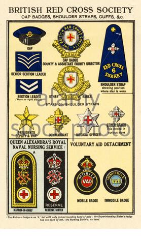 Grades et insignes des Forces armées britanniques - Société de la Croix-Rouge britannique, tiré de l'affiche d'information et de propagande de la Seconde Guerre mondiale Banque D'Images