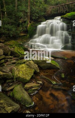 Lower Falls of Shays Run dans le parc national de Blackwater Falls, Virginie occidentale Banque D'Images