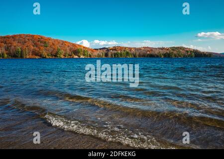 En automne, les vagues se roulent sur une plage au bord d'un lac bleu. De l'autre côté de l'eau, des collines d'arbres à feuilles persistantes et d'orange et de yello Banque D'Images