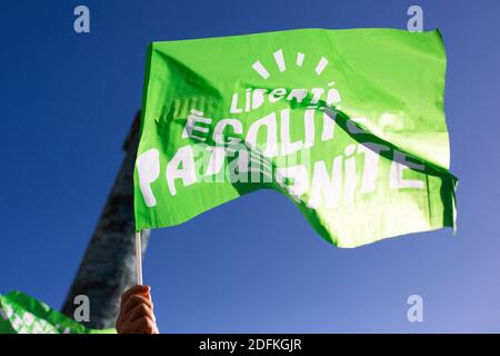 Les manifestants détiennent des drapeaux de parternité pour l'égalité des libertés lors d'une manifestation organisée par le groupe militant conservateur pro-vie 'la Manif pour tous' contre le projet de loi de bioéthique sur la procréation médicalement assistée (PMA - procréation médicalement Assistee), à Paris, en France, le 10 octobre 2020. Voté le 1er août en deuxième lecture à l'Assemblée nationale, le projet de loi, dont la mesure phare est l'ouverture de la procréation médicalement assistée à toutes les femmes, doit être examiné par le Sénat à une date qui n'est pas encore fixée, vers la fin de l'année ou le début de 2021. Photo de Raphael Lafargue/ABACAPRESS.COM Banque D'Images