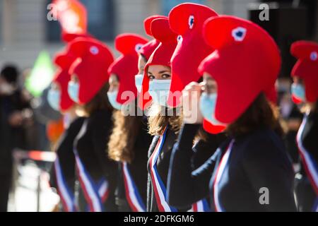 Les manifestants portant la casquette de Phrygian lors d'une manifestation organisée par le groupe militant conservateur pro-vie 'la Manif pour touss' contre le projet de loi de bioéthique sur la procréation médicalement assistée (PMA - procréation médicalement Assistee), à Paris, en France, le 10 octobre 2020. Voté le 1er août en deuxième lecture à l'Assemblée nationale, le projet de loi, dont la mesure phare est l'ouverture de la procréation médicalement assistée à toutes les femmes, doit être examiné par le Sénat à une date qui n'est pas encore fixée, vers la fin de l'année ou le début de 2021. Photo de Raphael Lafargue/ABACAPRESS.COM Banque D'Images