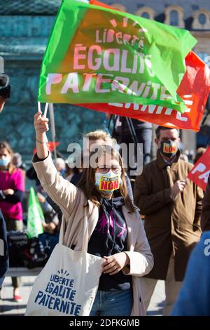 Les manifestants détiennent des drapeaux de parternité pour l'égalité des libertés lors d'une manifestation organisée par le groupe militant conservateur pro-vie 'la Manif pour tous' contre le projet de loi de bioéthique sur la procréation médicalement assistée (PMA - procréation médicalement Assistee), à Paris, en France, le 10 octobre 2020. Voté le 1er août en deuxième lecture à l'Assemblée nationale, le projet de loi, dont la mesure phare est l'ouverture de la procréation médicalement assistée à toutes les femmes, doit être examiné par le Sénat à une date qui n'est pas encore fixée, vers la fin de l'année ou le début de 2021. Photo de Raphael Lafargue/ABACAPRESS.COM Banque D'Images