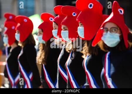 Les manifestants portant la casquette de Phrygian lors d'une manifestation organisée par le groupe militant conservateur pro-vie 'la Manif pour touss' contre le projet de loi de bioéthique sur la procréation médicalement assistée (PMA - procréation médicalement Assistee), à Paris, en France, le 10 octobre 2020. Voté le 1er août en deuxième lecture à l'Assemblée nationale, le projet de loi, dont la mesure phare est l'ouverture de la procréation médicalement assistée à toutes les femmes, doit être examiné par le Sénat à une date qui n'est pas encore fixée, vers la fin de l'année ou le début de 2021. Photo de Raphael Lafargue/ABACAPRESS.COM Banque D'Images