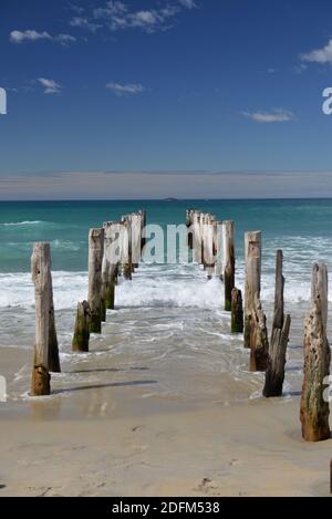 Vieux poteaux sur la plage St clair à Dunedin Banque D'Images