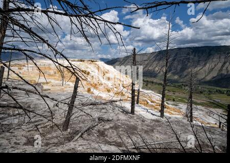 Les terrasses de sources chaudes donnent sur les sources thermales de Mammoth dans le parc national de Yellowstone Banque D'Images