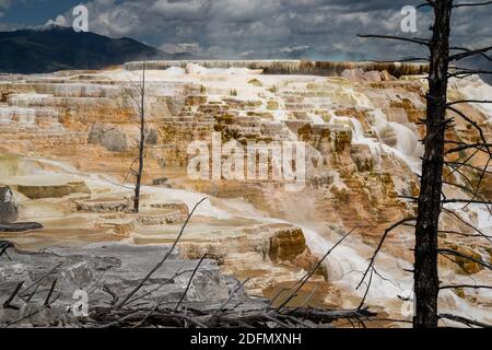 Les terrasses de sources chaudes donnent sur les sources thermales de Mammoth dans le parc national de Yellowstone Banque D'Images