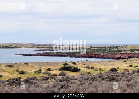 Plage de Punta Tombo vue jour, Patagonie argentine, paysage Banque D'Images