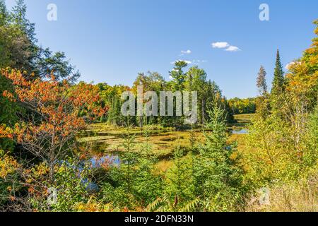 Terres des marais canadiens aire de conservation des crowe Algonquin Highlands Apsley Ontario Canada Banque D'Images