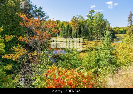 Terres des marais canadiens aire de conservation des crowe Algonquin Highlands Apsley Ontario Canada Banque D'Images