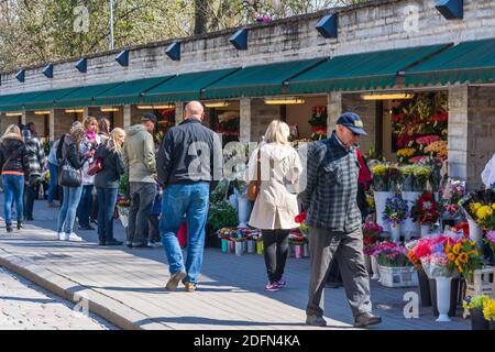 Les touristes marchant à côté des magasins de fleurs à la place Viru à Vieille ville de Tallinn Estonie Banque D'Images