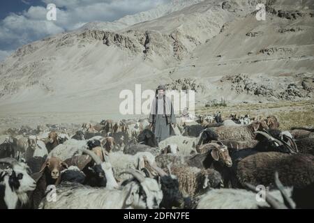 Homme debout au milieu d'un troupeau de moutons, dirigeant une caravane, Pashtune, Khas Dej, Khas Dej, Khandud, Afghanistan Banque D'Images