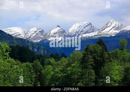 Churfirsten, Toggenburg, Saint-Gall, Suisse Banque D'Images