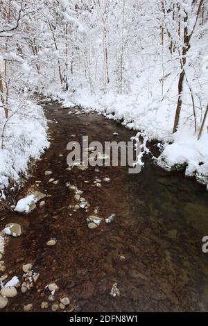 Aabach, AA-Bach, Bergbach, ruisseau forestier, Kemptner Tobel, Oberland de Zurich, Suisse Banque D'Images