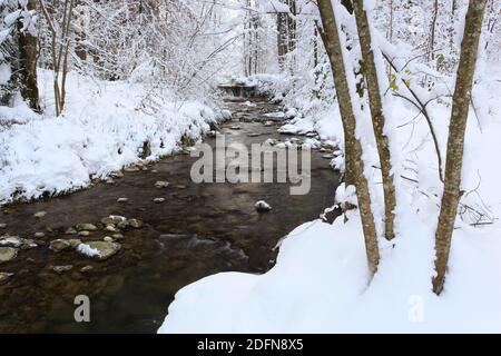 Aabach, AA-Bach, Bergbach, ruisseau forestier, Kemptner Tobel, Oberland de Zurich, Suisse Banque D'Images