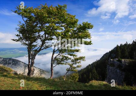 Creux du Van, Neuchâtel, Neuchâtel Jura, Suisse Banque D'Images