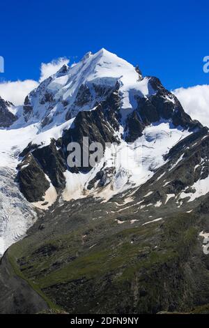 Piz Roseg, 3937 m, vue de Fuorcla Surlej, Graubuenden, Suisse Banque D'Images