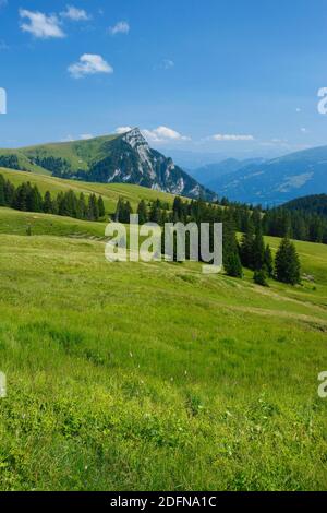 ALP Palfries avec Tschuggen, Saint-Gall, vallée du Rhin, Suisse Banque D'Images