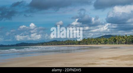 Vue sur la côte de Cassowary à marée basse, Mission Beach, Clump point, région de la côte de Cassowary, Queensland, Australie Banque D'Images