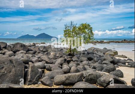 Vue sur Dunk Island depuis Clump point, Mission Beach, région de la côte de Cassowary, Queensland, Australie Banque D'Images