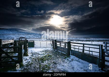 Ferme portes dans la neige, Yorkshire Dales Banque D'Images