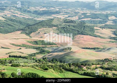 Panorama Volterra, collines ondulantes et champs verts au coucher du soleil Banque D'Images