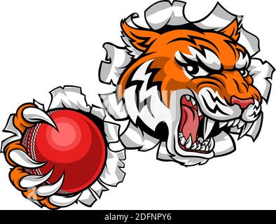 Joueur de Cricket Sports Tiger animal mascotte Illustration de Vecteur