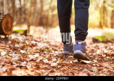 un sentier de randonnée pour les femmes en forme de bottes perspective sur un sentier bleu du connecticut en forme de blason sur les feuilles mortes. Banque D'Images