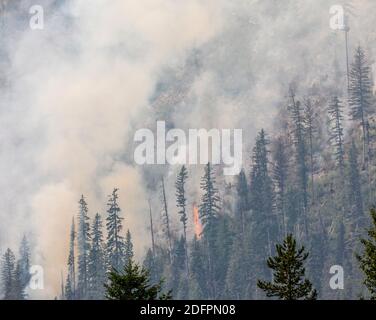 Feu de forêt de Paola Ridge, autoroute US2, Glacier, Montana, États-Unis Banque D'Images
