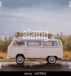 Chien Doodle regardant par la fenêtre d'un camping-car vintage avec un sapin de Noël sur le toit Banque D'Images
