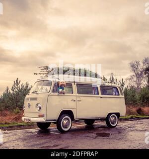 Chien Doodle regardant par la fenêtre d'un camping-car vintage avec un sapin de Noël sur le toit Banque D'Images