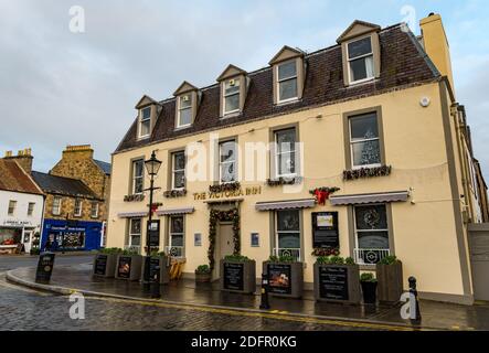 Le Victoria Inn pub et restaurant sur court Street avec des décorations de Noël festives, Haddington, East Lothian, Écosse, Royaume-Uni Banque D'Images