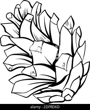 Jeu de cônes de sapin, spruces de pinecone, élément de décoration d'art vectoriel pour motifs et arrière-plans. Décoration de Noël moderne noire et blanche dessinée à la main au motif Pinecone isolé Illustration de Vecteur