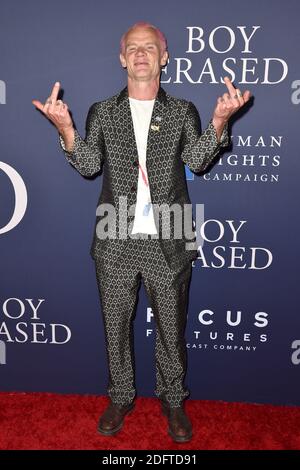 Le 29 octobre 2018, à Los Angeles, en Californie, aux États-Unis, la puce participe à la première de Focus Features 'Boy Erased' à la Directors Guild of America. Photo de Lionel Hahn/ABACAPRESS.COM Banque D'Images