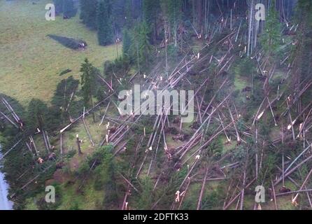 Le 3 novembre 2018, des milliers de pins et de spruces rouges ont été détruits dans les Alpes près de la province de Belluno (à 100 km au nord de Venise), dans le nord de l'Italie. Les arbres étaient accrochés en gros comme des allumettes. La surface du barrage Comelico près de la frontière autrichienne était couverte de troncs d'arbres tombés dans la rivière Piave. De fortes pluies et des gales qui mitrolent le nord de l'Italie ont rasé des milliers d'hectares de forêt, détruisant des millions d'arbres. Le chef de l'agence de protection civile, a déclaré que la Vénétie avait vu des vents de 180 km/h et que la situation était "apocalyptique" et qu'il faudra au moins un ec Banque D'Images