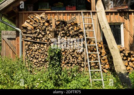 bois de feu stocké à l'extérieur et plante verte devant barre d'agriculture Banque D'Images