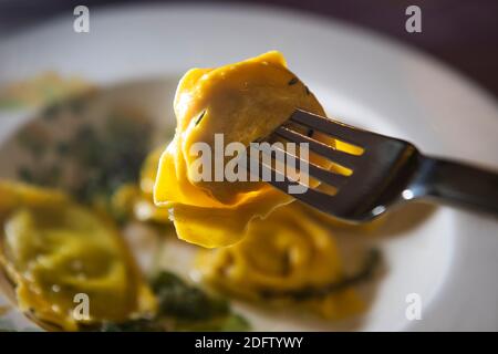 Tortellini italien maison Banque D'Images