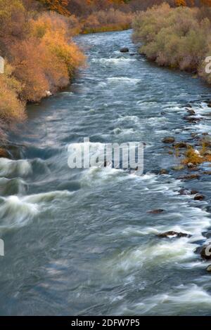 Klamath Wild et Scenic River, State of Jefferson Scenic Byway, Californie Banque D'Images