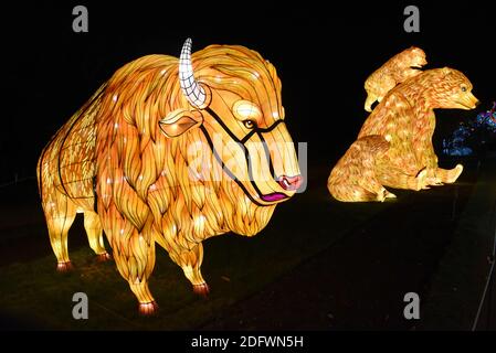 Une photo prise le 29 novembre 2018 montre des structures lumineuses géantes en forme d'animal exposées au jardin des plantes 'jardin botanique' Zoo de Paris, dans le cadre de l'exposition Light Festival intitulée 'Espèces en voie d'illumination' qui s'étend du 16 novembre 2018 au 15 janvier 2019. Photo d'Alain Apaydin/ABACAPRESS.COM Banque D'Images