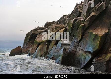 Île rocheuse avec Ocean, Cape Archen, Mer de Béring, Extrême-Orient russe Banque D'Images