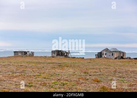 Station forestière sur l'île Wrangel en mer de Tchoukotka, Extrême-Orient russe Banque D'Images