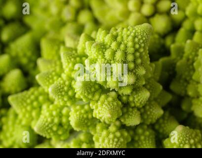 Brocoli romanesko. Chou frais. Macro, gros plan. Banque D'Images