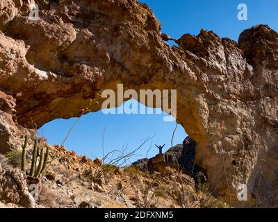 Un randonneur appr cie l arche naturelle d Arch Canyon Organ Pipe