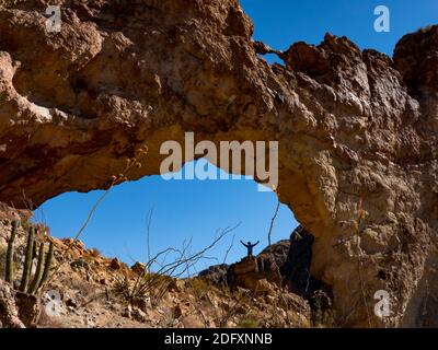 Un randonneur apprécie l'arche naturelle d'Arch Canyon, Organ Pipe Cactus National Monument, Arizona, Etats-Unis Banque D'Images