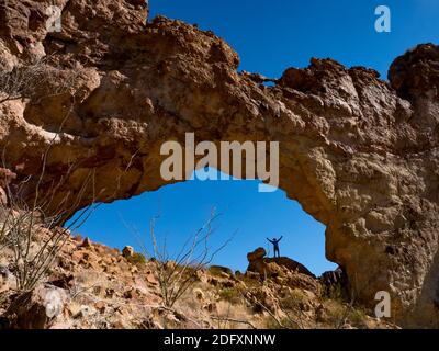 Un randonneur apprécie l'arche naturelle d'Arch Canyon, Organ Pipe Cactus National Monument, Arizona, Etats-Unis Banque D'Images