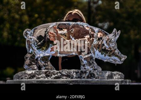 Manifestation de la vague de chaleur PETA. Les militants des droits des animaux PETA placent un trio de sculptures sur glace animales, dont une vache, un porc et un poulet pour fondre lentement, Londres Banque D'Images