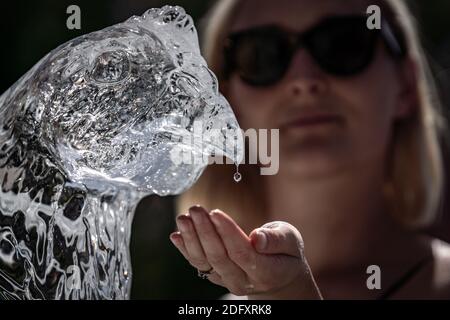 Manifestation de la vague de chaleur PETA. Les militants des droits des animaux PETA placent un trio de sculptures sur glace animales, dont une vache, un porc et un poulet pour fondre lentement, Londres Banque D'Images