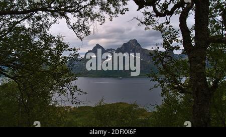 Belle vue sur le fjord de Raftsundet avec les montagnes majestueuses de l'île d'Austvågøya au-dessus de la côte vue à travers les arbres dans la forêt près de Digermulen, Norvège. Banque D'Images